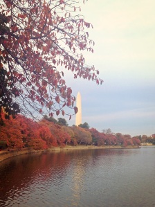 Fall Leaves anf the Washington Monument